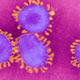 Imagen para el artículo titulado Científicos infectaron deliberadamente a personas con covid-19: esto es lo que les pasó